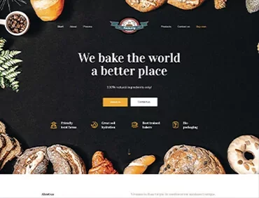 Website development / 03 — Websites