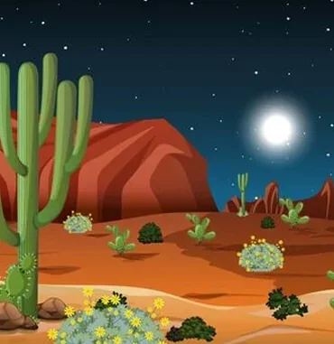 Illustration portfolio example 4
