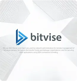 Video / 05 — Logo design