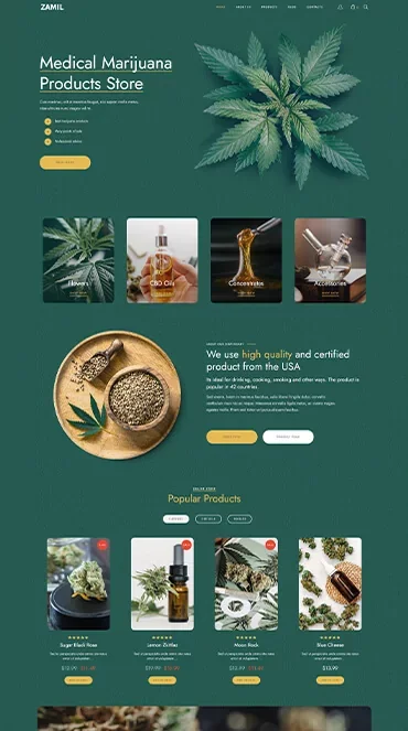 Website development / 06 — Websites