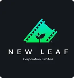 Video / 06 — Logo design