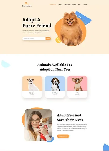 Website development / 08 — Websites