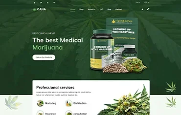 Website development / 09 — Websites