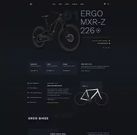 Website development / 12 — Websites
